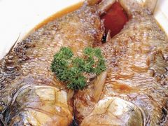 红焖鲥鱼-鹊华居·地道鲁菜·海鲜·融合味(大明湖店)