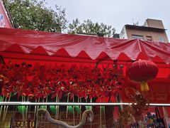 -越秀西湖花市(广州城市广场花卉店)