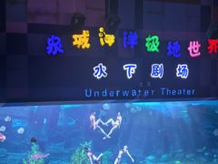 -泉城欧乐堡海洋极地世界