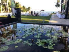 -三亚海棠湾万丽度假酒店