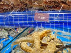 -乔哥铭洋海鲜自助(皇城恒隆广场店)