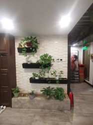 -青青一生美皮肤管理