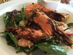 新元素餐厅(蓝色港湾店)-新元素(蓝色港湾店)