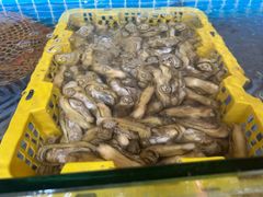-坛南湾阿强农家乐.海鲜大排档老字号(福州地标美食店)