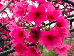 -映月湖公园