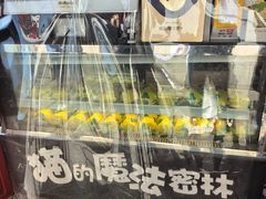 -猫的魔法密林(衣裳街店)