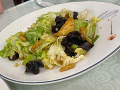 白菜木耳爆豆腐-同发号饭庄(复兴路店)