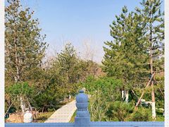 -西海子公园
