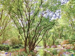 -上海共青森林公园