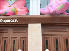 -帕帕拉兹宠物(亚洲旗舰店)