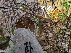 -石老人观光园