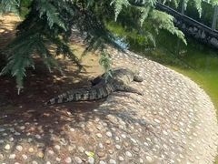 -石家庄市动物园