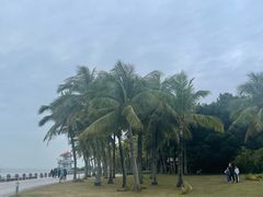 -深圳湾公园(南山区)