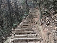 -杭州半山国家森林公园