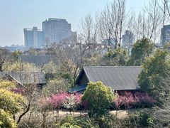 -水绘园