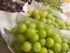 -马陆小张葡萄园农家乐