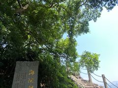 -江心屿景区