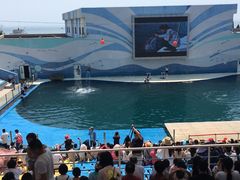 -北戴河圣蓝海洋公园