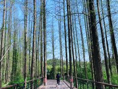 -青山湖景区