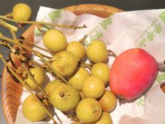-季季山·云南野生菌火锅(上海首店)