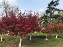 -白塘生态植物园