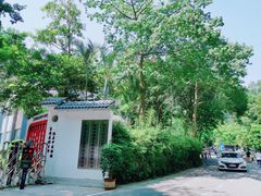 -火炉山森林公园