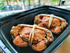 六月黄-黄记大闸蟹专卖店·活蟹·醉蟹
