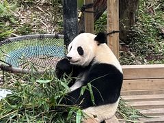 -广州长隆野生动物世界