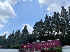 -龙华素斋(龙华路店)