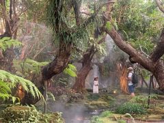 -Chom Cafe and Restaurant