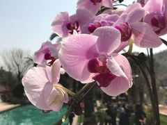 -宁波九龙湖开元度假村
