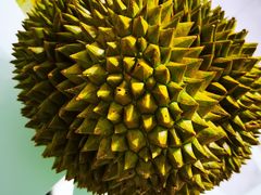 -港华水果街(港华广场店)