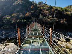 -燕子河大峡谷天坑仙境