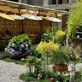 这就是当代年轻人到任何一个地方都要找一个美美的咖啡馆！