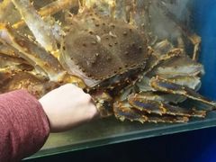 -蚝专家(北滘店)