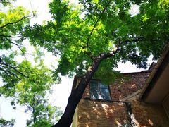 -美丽心情蛋糕(江苏路店)