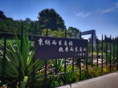 -雨花台烈士纪念馆