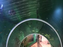 门面-瑞德姆美人鱼海底演艺主题餐厅(亚龙湾店)