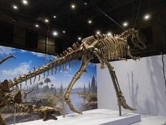 -国家自然博物馆