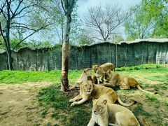 -北京野生动物园