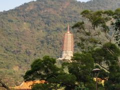 -深圳仙湖植物园