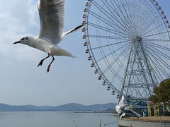 -蠡湖大桥公园