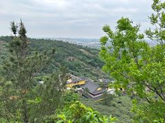 -树山生态村