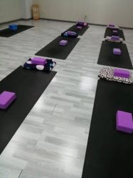 -榕树上·瑜伽普拉提