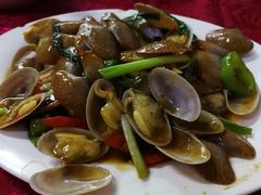-蛇口康乐快餐鱼仔档(翠苑小区店)