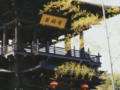 -大唐贡茶院