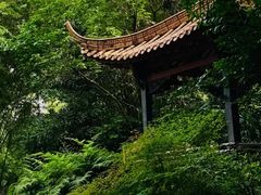 -广州兰圃