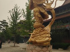 -大悲禅寺