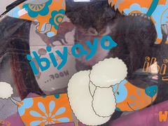 -北京观赏动物医院·24小时大型综合·猫专科·异宠专科
