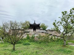 -广富林郊野公园